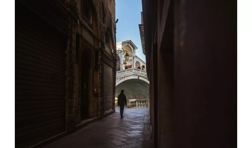 Venice: St. Mark's Square Historical City Walking Tour