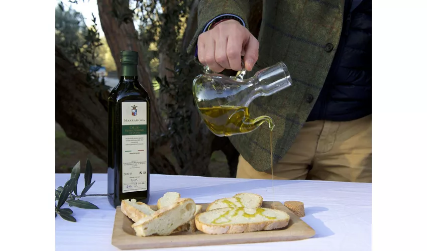 Historische Kellertour und Verkostung in den Abruzzen