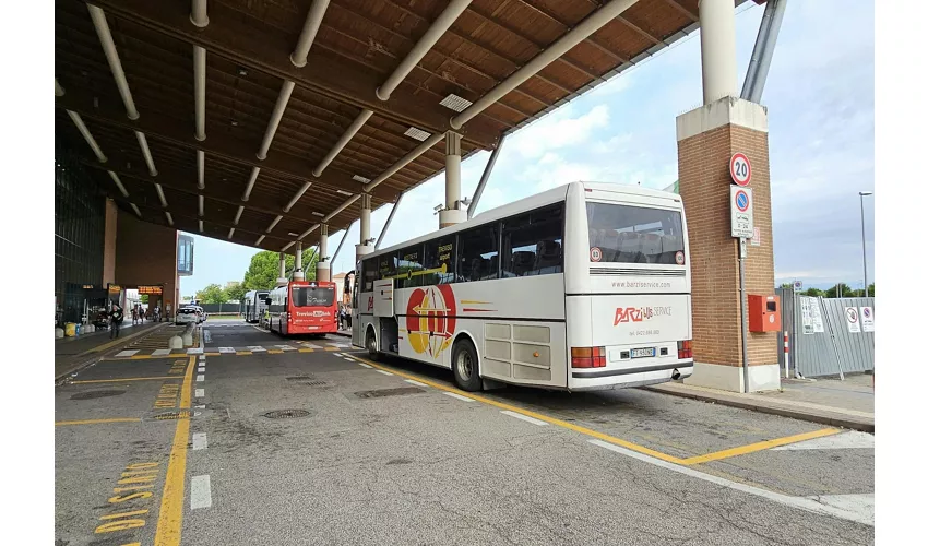 Venezia: Barzi Service Trasferimento in autobus dall'aeroporto di Treviso