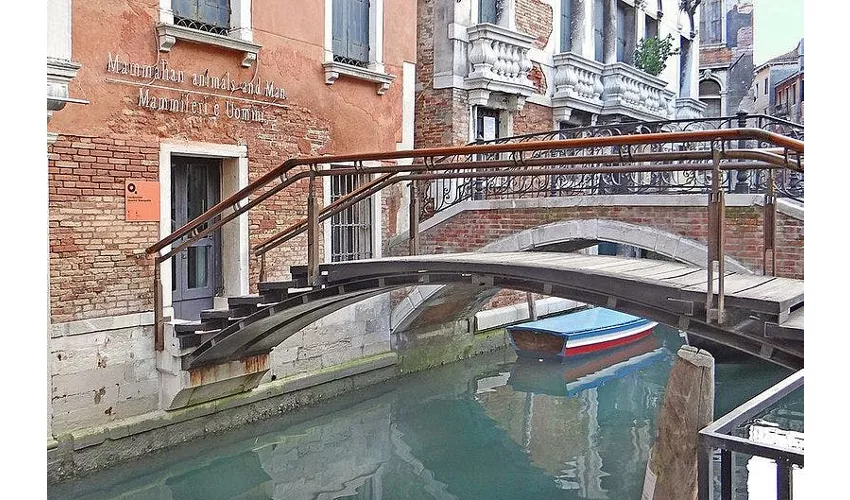 Fondazione Querini Stampalia: Biglietto d'ingresso