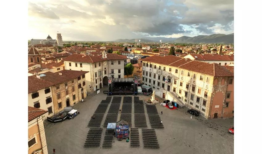 Pisa Summer Knights