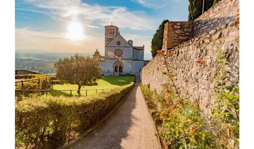 Asís y Orvieto: Excursión guiada de un día desde Roma