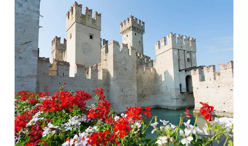 Verona, Sirmione e il Lago di Garda con crociera in barca da Milano