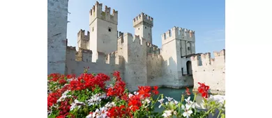 Verona, Sirmione e il Lago di Garda con crociera in barca da Milano