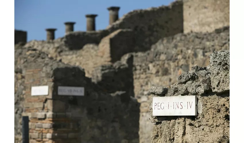 Pompei e il Vesuvio: Gita di un giorno da Roma con pranzo a base di pizza napoletana