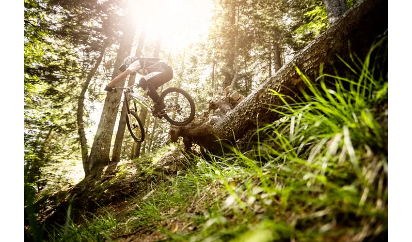 Enduro nelle alpi: l’avventura inizia qui. 