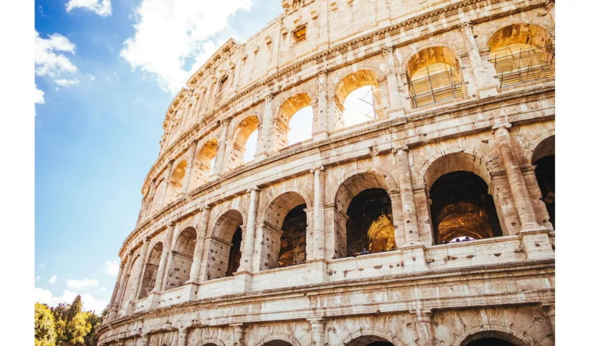 Colosseo, Arena, Foro Romano e Palatino + Tour guidato semi-privato