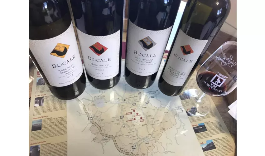 Visita guidata della cantina e degustazione privata a Montefalco