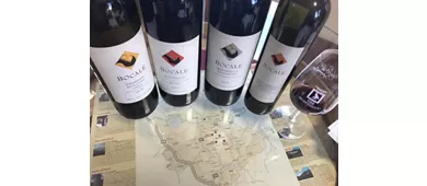 Visita guidata della cantina e degustazione privata a Montefalco