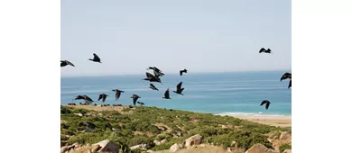 Parque Natura Viva: Entrada con fecha abierta