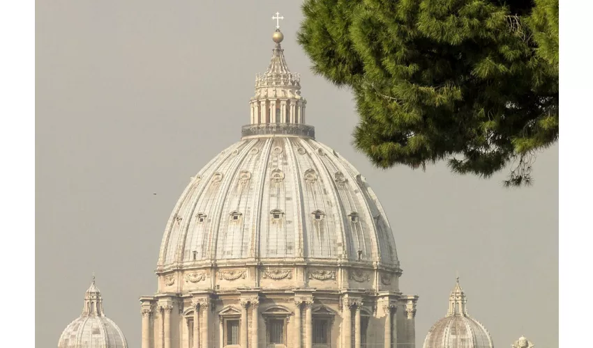 Museos Vaticanos y Basílica de San Pedro: Entrada de acceso rápido + Tour guiado