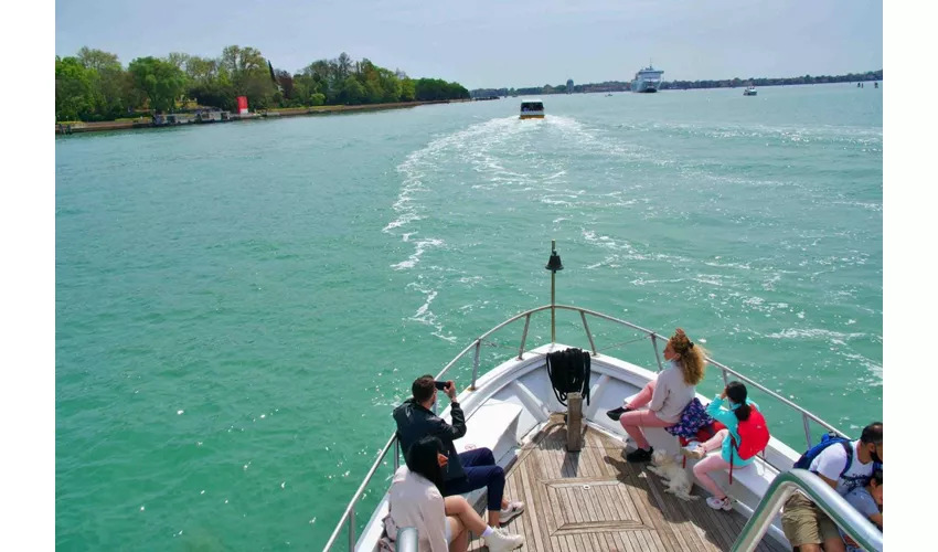 Murano, Burano & Torcello: Boat Tour From St. Mark’s Square + Glass Factory