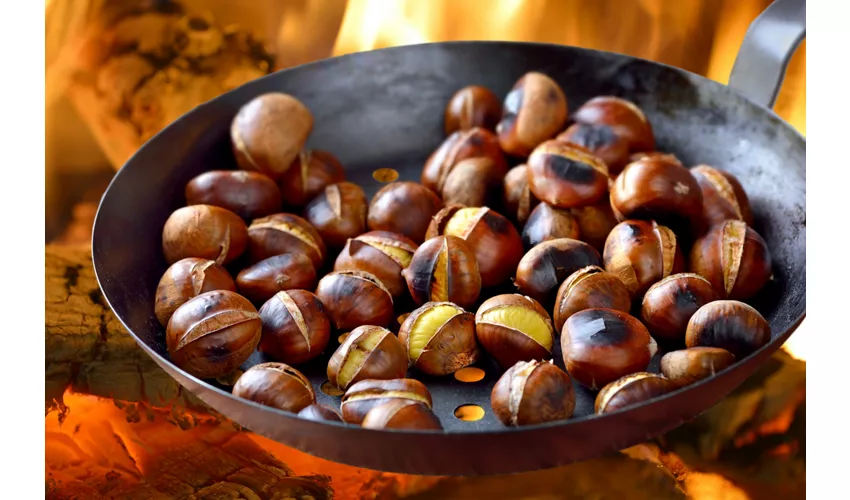 Sagra della Castagna a Sant’Agata di Esaro