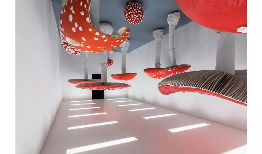 Fundación Prada Milán: Entrada