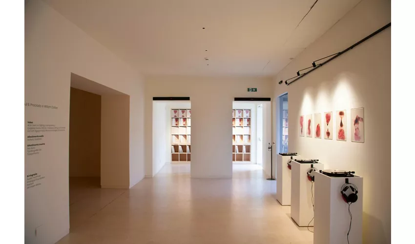 FOROF Archeologia e Arte Contemporanea: Biglietto d'ingresso