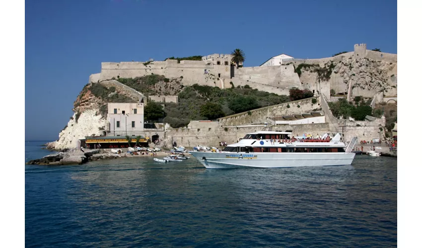 Islas Tremiti: Excursión guiada en barco desde Peschici