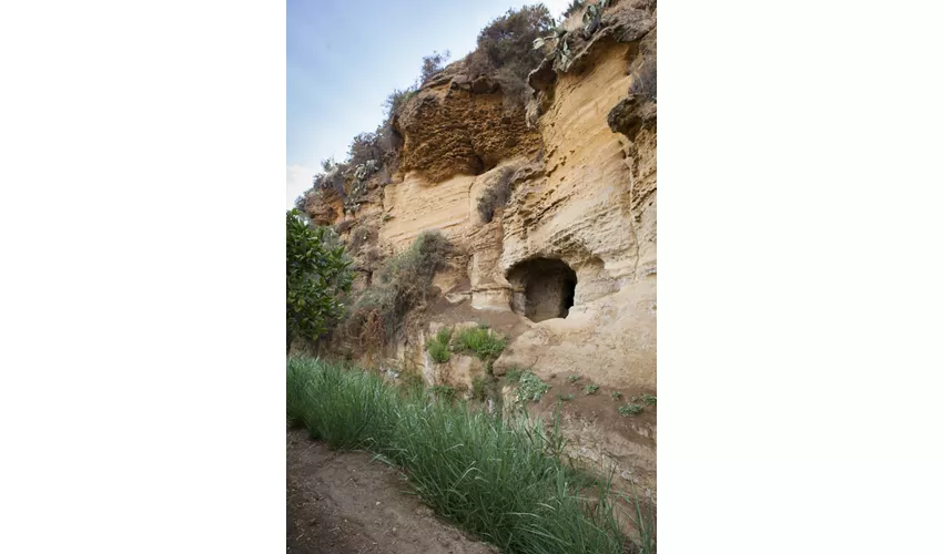 Jardín de la Kolymbehtra + Hipogeo: Visita guiada