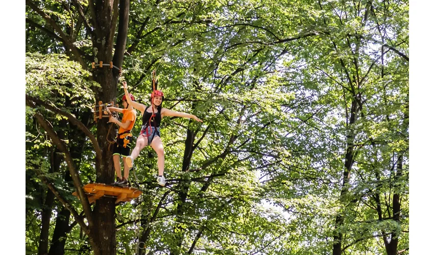 Accesso giornaliero al Parco Avventura del Lago di Como