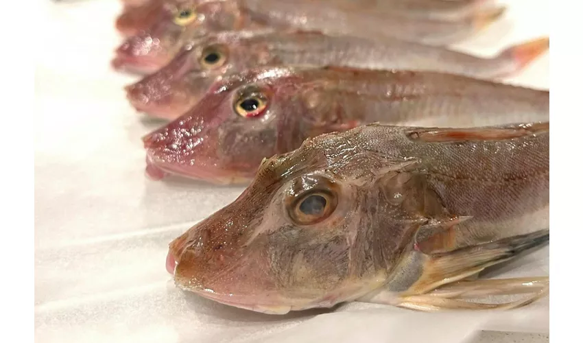 Emilia-Romaña: Clase de cocina marinera + Comida o Cena + Bebidas