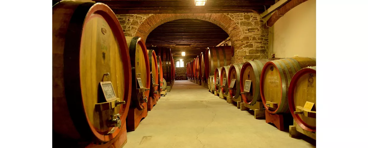 cantine aperte friuli-venezia giulia