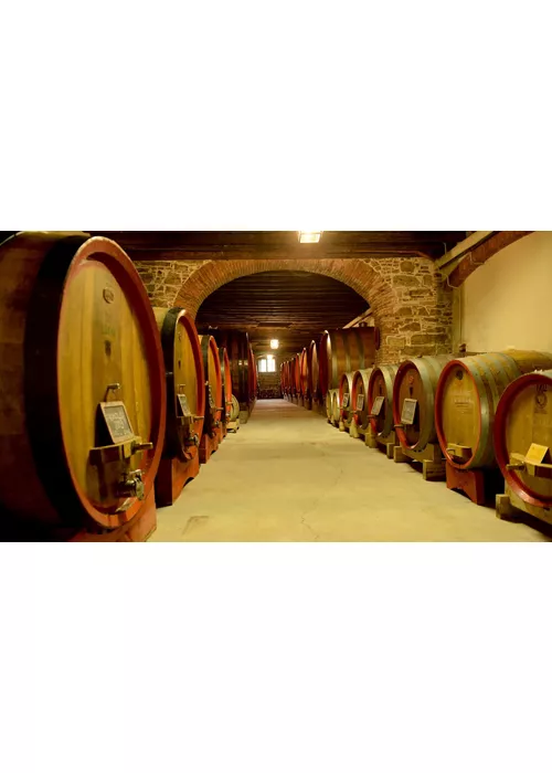 cantine aperte friuli-venezia giulia