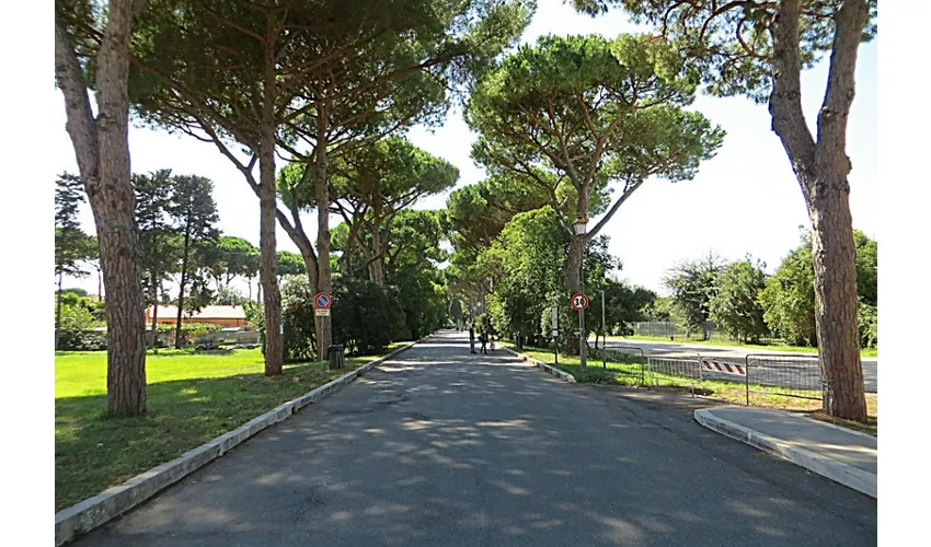 Parque Arqueológico de Ostia Antica: Entrada