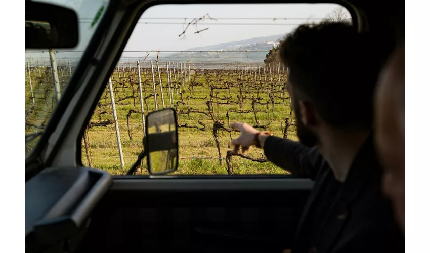 Safari Grand Tour und Verkostung