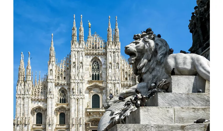 Duomo de Milán, Azotea y Museo: Acceso rápido