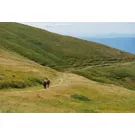 Via Matildica del Volto Santo in Tuscany