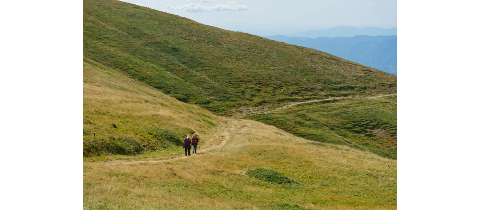 Via Matildica del Volto Santo in Tuscany