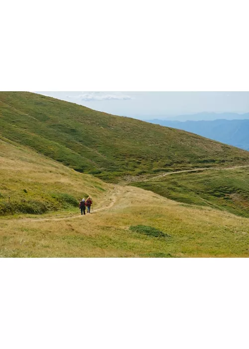 Vía Matildica del Volto Santo en la Toscana