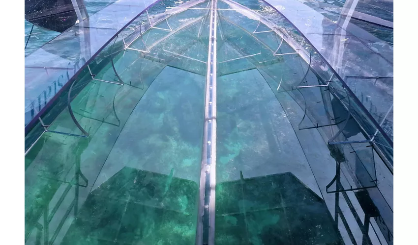 Siracusa: Tour in barca trasparente della costa e delle grotte marine + sosta per nuotare