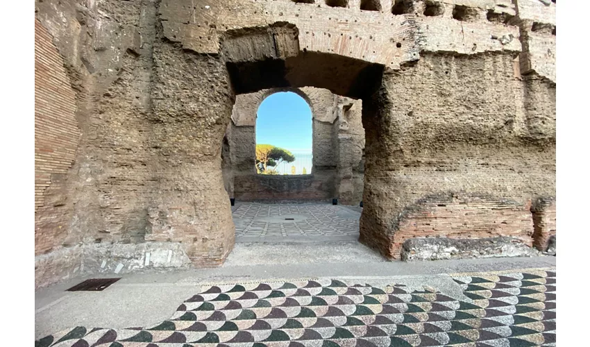 Visita guidata delle Terme di Caracalla e del Circo Massimo