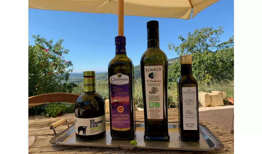 Valpolicella: Food & Olive Oil Tasting + Optional Transportation