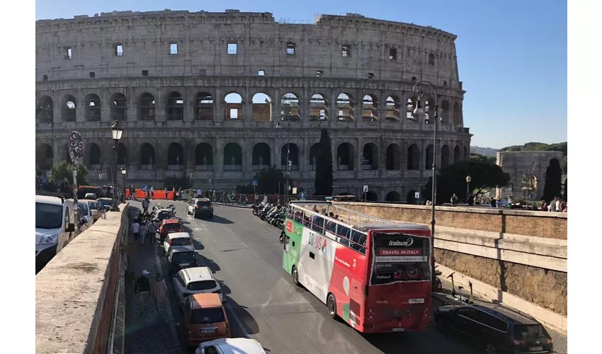 Colosseo, Foro Romano e Palatino: Ingresso riservato + Bus panoramico aperto