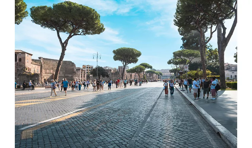 Colosseo, Foro Romano e Palatino + Guida Audio Digitale