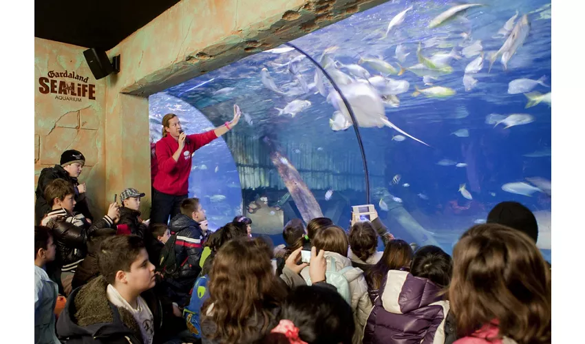Gardaland SEA LIFE Aquarium: Entrada