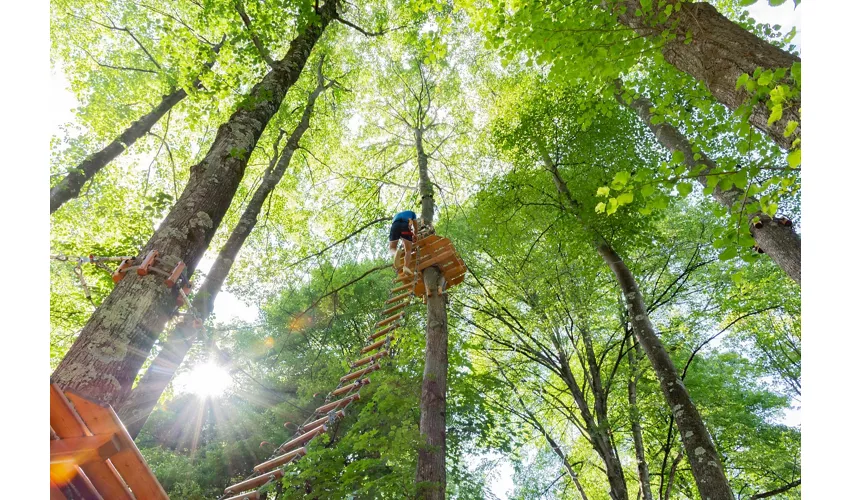 Lake Como Adventure Park Day Access