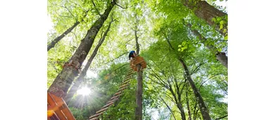 Accesso giornaliero al Parco Avventura del Lago di Como