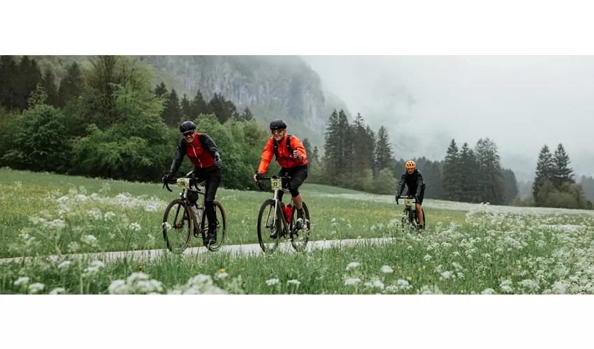 Bike Festival