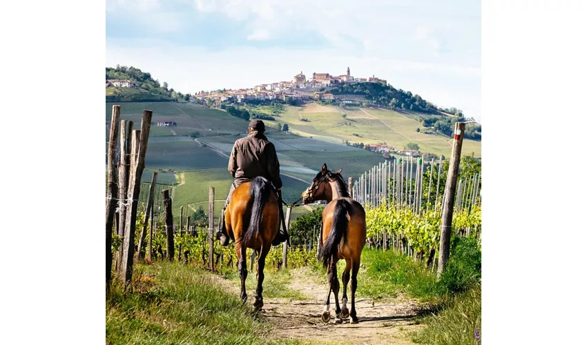 “Horse Green Experience - Jubilee 2025” Equiraduno of the Holy Year 