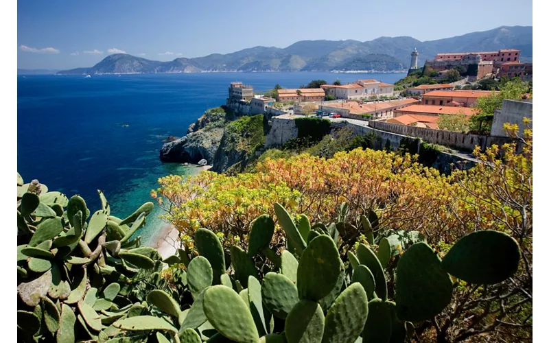 Le Oasi di Napoleone 
