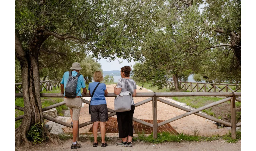 Sirmione: Tour in barca e Grotte di Catullo