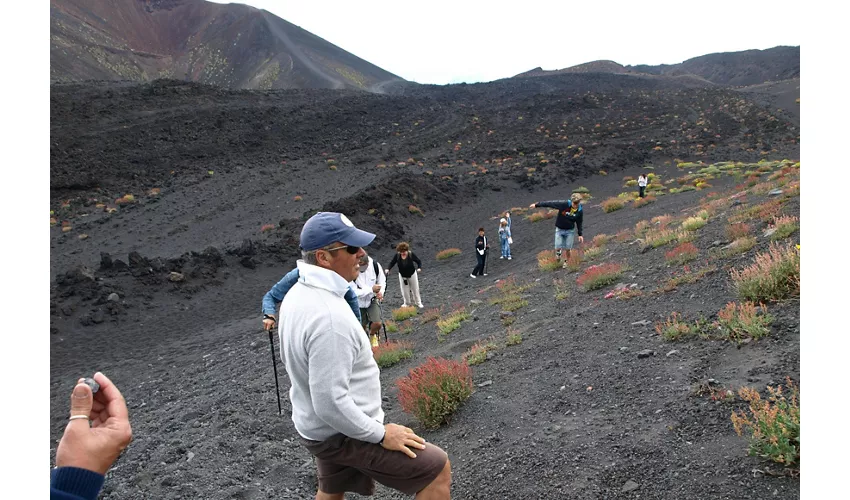 Etna: Excursión desde Catania