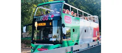 Colosseum, Roman Forum & Palatine Hill + Panoramic Open Bus