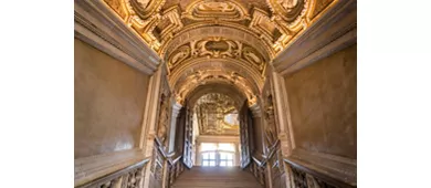 Palazzo Ducale e Basilica di San Marco: Tour guidato per piccoli gruppi