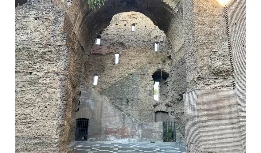 Visita guidata delle Terme di Caracalla e del Circo Massimo