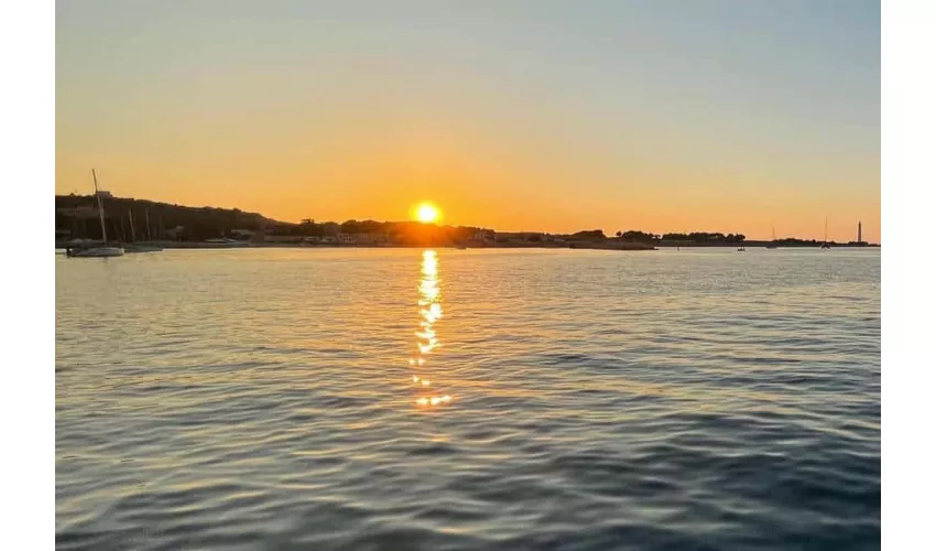 Palermo: Tour privato in barca a vela al tramonto + cena + vino