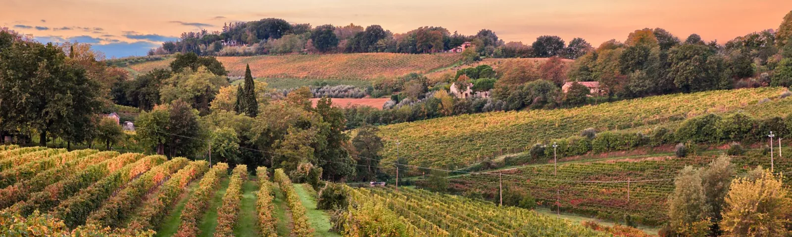 Hills and countryside in Italy