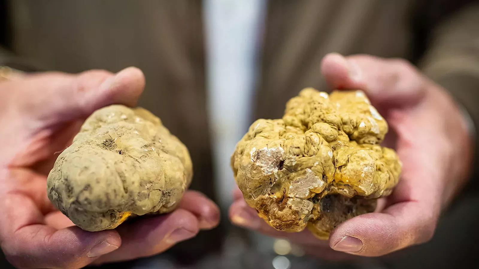 Alba’s International White Truffle Fair